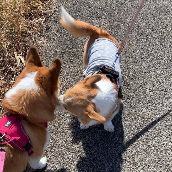 35a91db7 baf0 4f3e 913e d32858eccd08 1677820703672