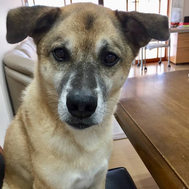 35a96975 461f 4527 b52f 1e7b58a89cb4 1533374515491