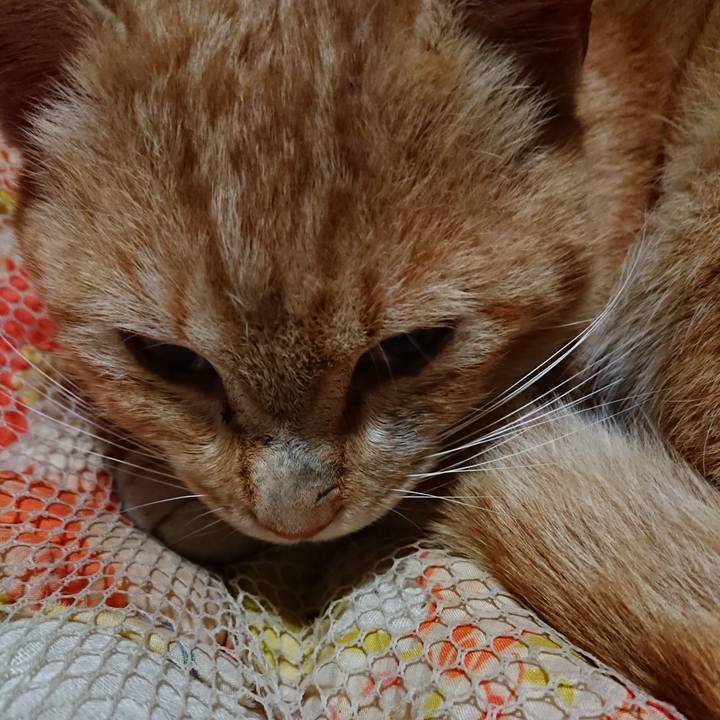 35a98f5a bb28 4974 bd91 726486469f7e 1554210274155