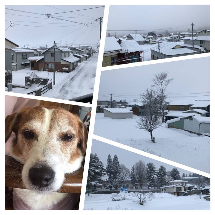 35a9a23c 9f6b 4b9a 86b5 c9c9d6e2fdbc 1513551783485