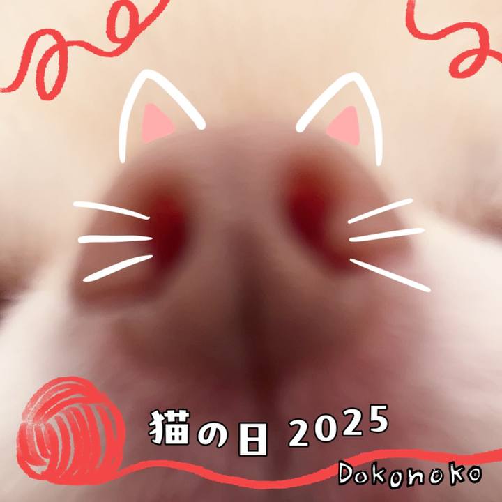 35a9c2de 89b5 4cd3 99b8 02092cf3d32d 1740142750345