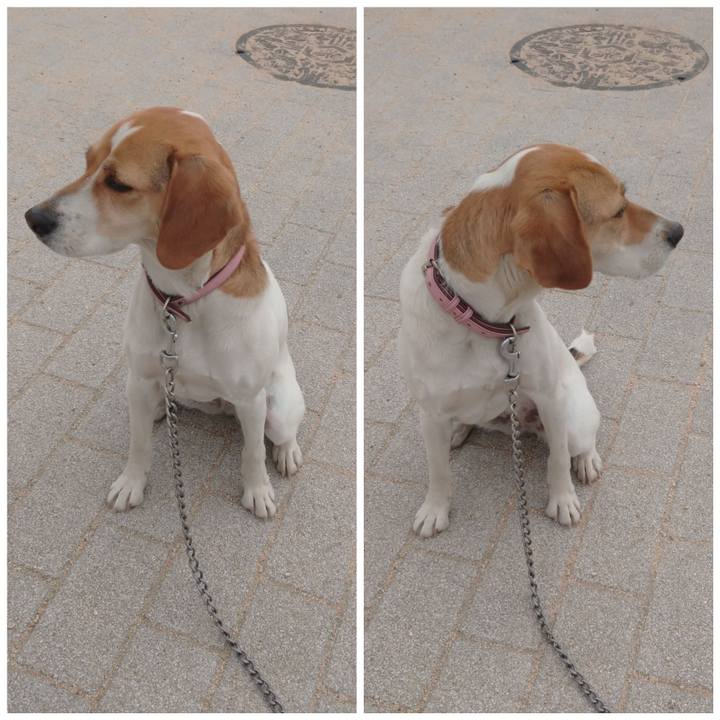 35a9d3ce 00ac 402f 91df 930fdb5bc979 1589522657434