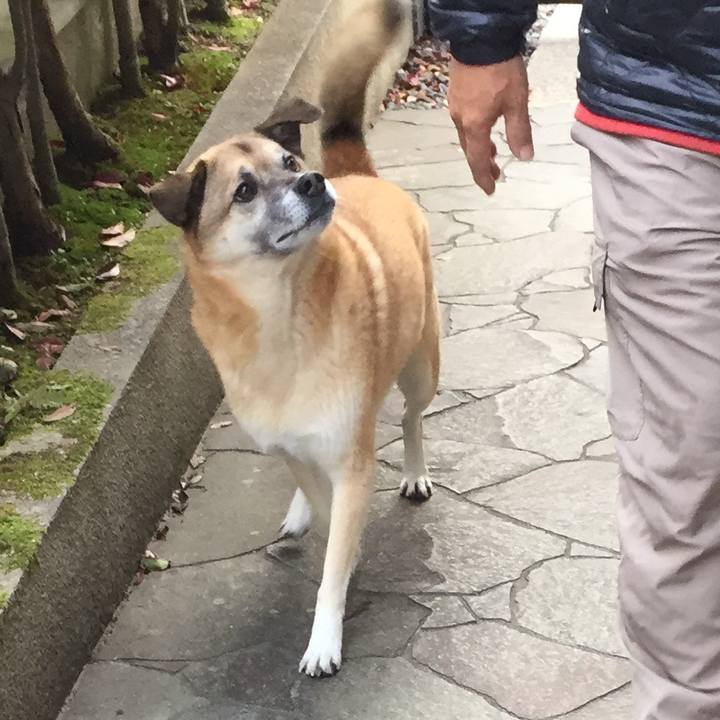 35a9d5fe cbfd 409a b2cf 4a4e876cb8f5 1512862680775