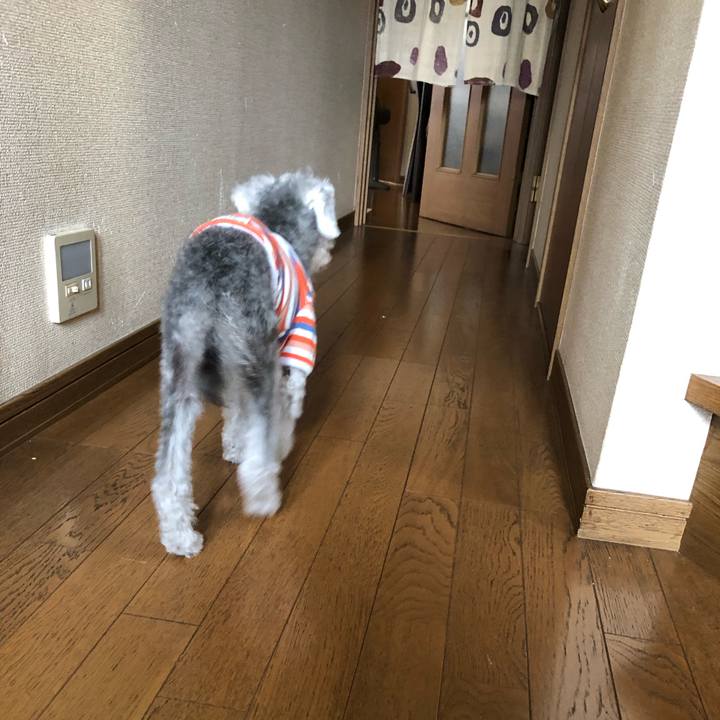 35a9d653 c575 4efb 8f8f a5b799838006 1660524136500