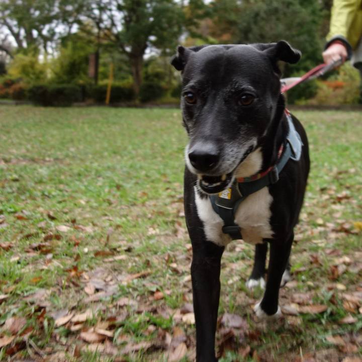 35a9daae 84e3 4636 aa83 128de858afb6 1731887264605