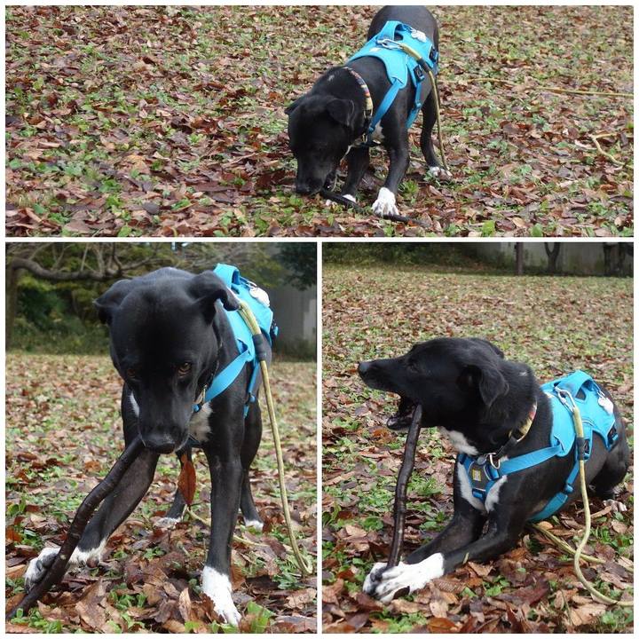 35a9dd3f 5d06 4622 b976 68a5cc46bb95 1607039996309