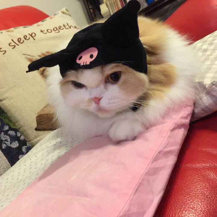 35a9fa47 ad38 4b62 824d 6e82839ef8cf 1523276463948