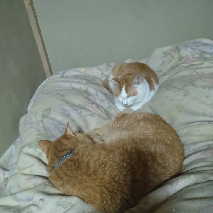 35aa33e2 2e62 42c9 8627 fd962d935460 1741788574927