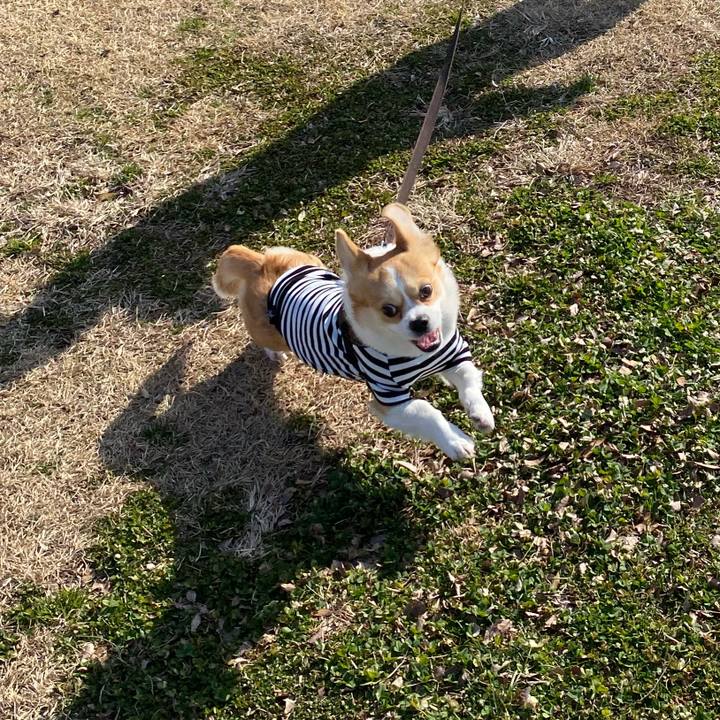 35aa35d4 f938 4c7c 8208 94f771a988c1 1580119539112