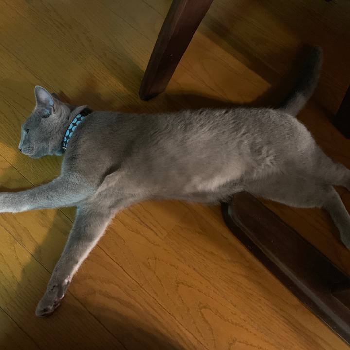 35aa3eb9 144c 4f37 b525 108420d7bfc1 1575280354383