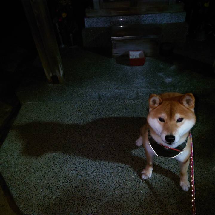 35aa4737 b092 4ae2 8027 3e5508ecca0d 1769731178620