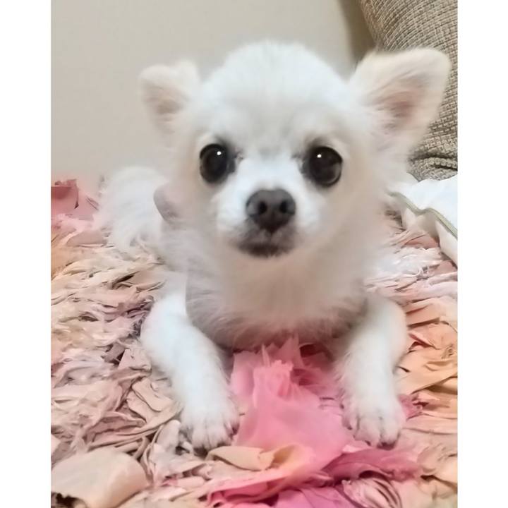 35aa4ca0 4599 49cb a16a 6e5f002dd501 1630057711570