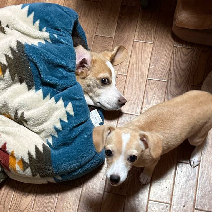 35aa6950 0929 4673 a5d2 201ddaba2463 1667280004476