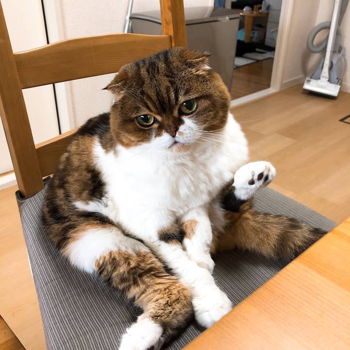 35aa7789 5b37 4cbe 90a5 5ea535a309b0 1551682259510