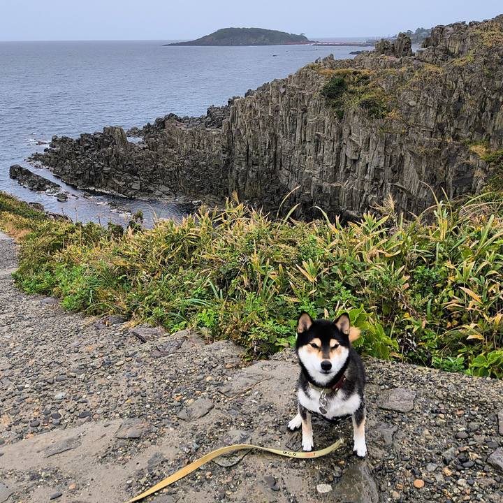 35aa860a 6f30 4682 86f3 f77a8bcfe444 1761917448725