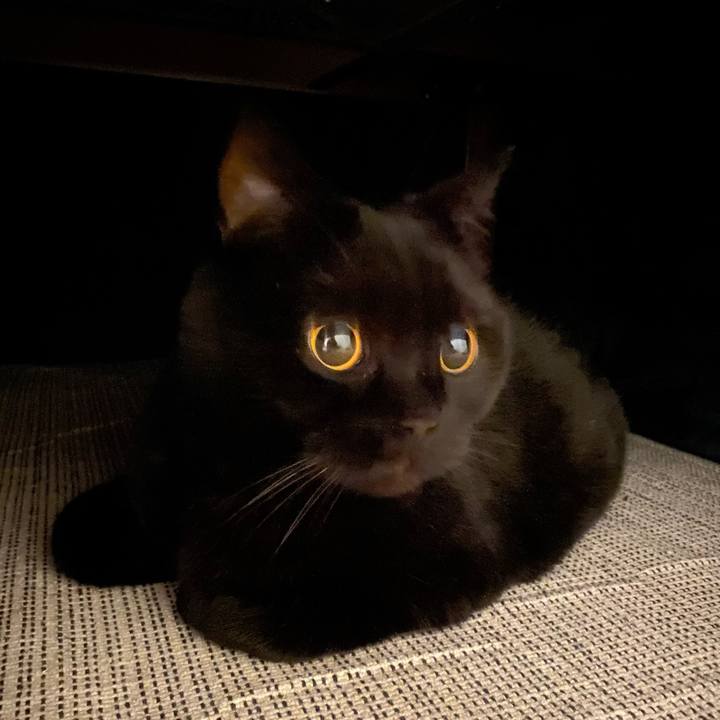 35aa90e5 f21c 4a21 be8f 4d82d5b03e85 1643716434541