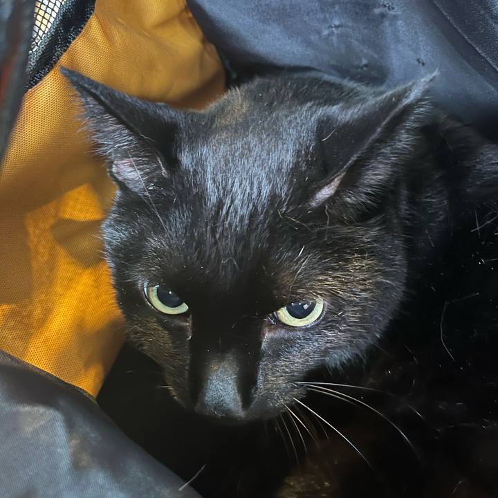 35aac403 317e 46ec 872c 8ab423fa37dd 1727489472481