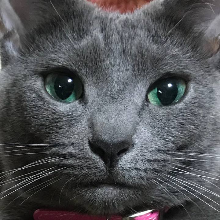 35aad1f4 a555 4828 9c5a 2e0d7307524a 1521233783769