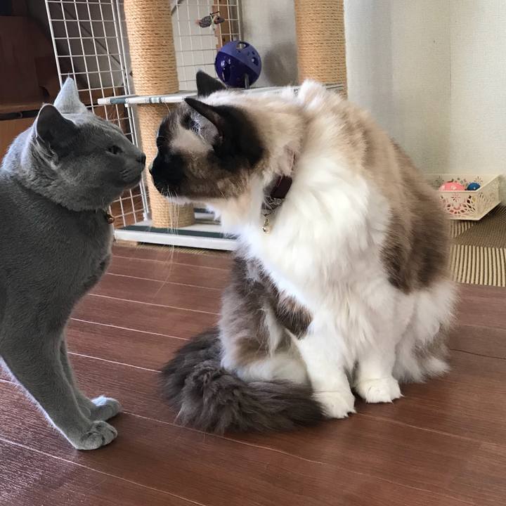 35ab07f9 4632 40b0 ab47 143cd8624699 1518965238344