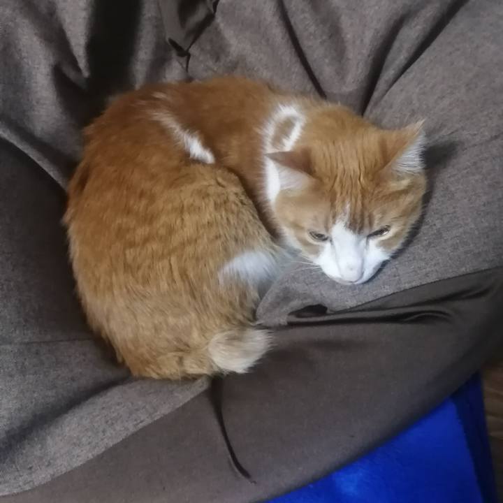 35ab636a da55 4bd7 b4ab 5accafa79c1f 1638703442560