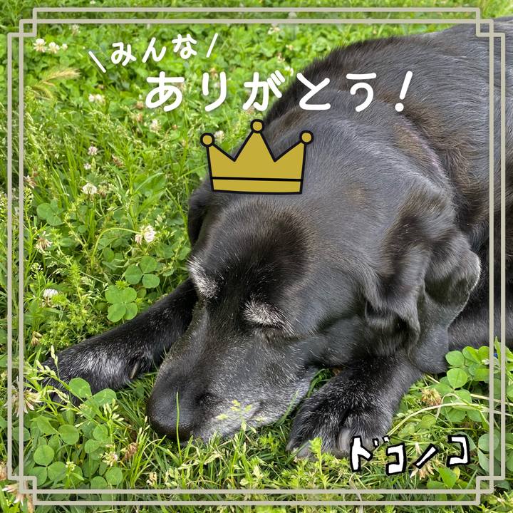 35ab7230 7842 42bd 99e6 fa5abaf6507b 1622880042020