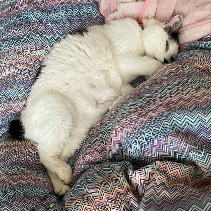 35ab99a1 9f7b 4bf5 8d91 0c683c1756c9 1616632111893