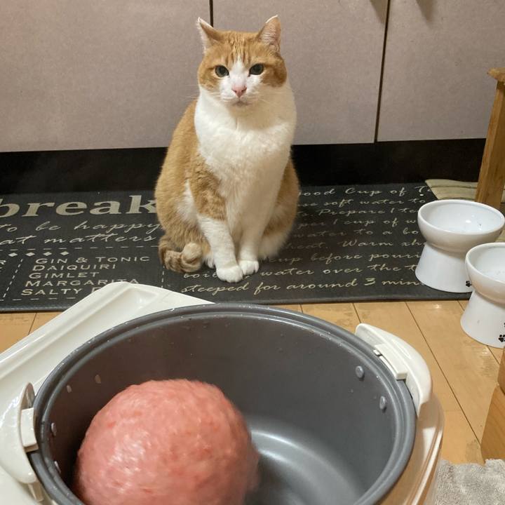 35abba27 5a68 435f 9268 4f39a86f8b7a 1767065784052