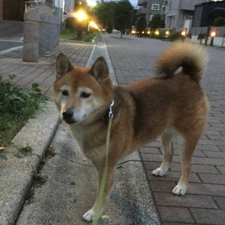 35abf4cd 4238 4423 9a03 cb881734710d 1569144121829