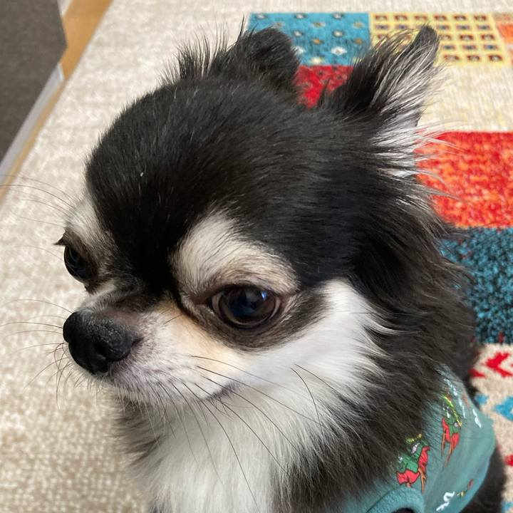 35abf524 60d6 494f b9ae 16a75444682e 1699111401086