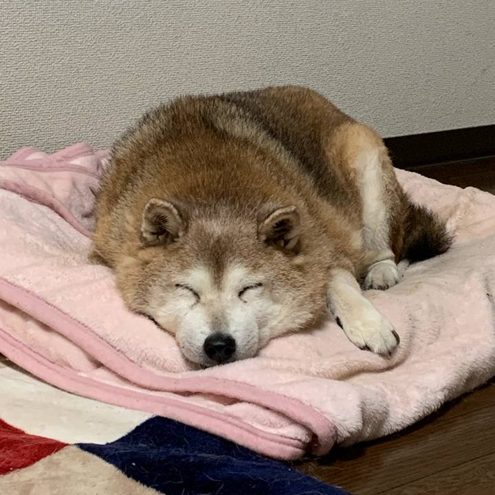 35abf6aa c104 4006 a6b3 e45d1683134a 1637473340228