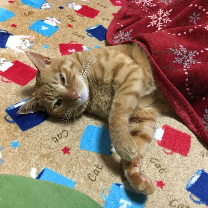 35ac272c 23f5 4d22 80aa f02b0a2b8c73 1547367666763