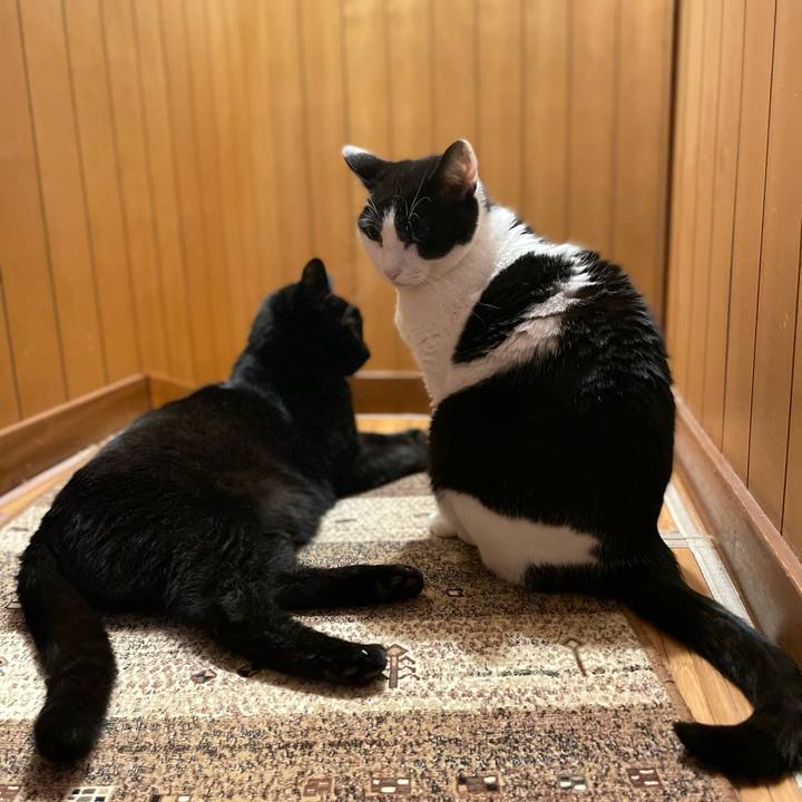 35ac46e2 9355 49e0 bbf6 bac27b3e63af 1621560756681