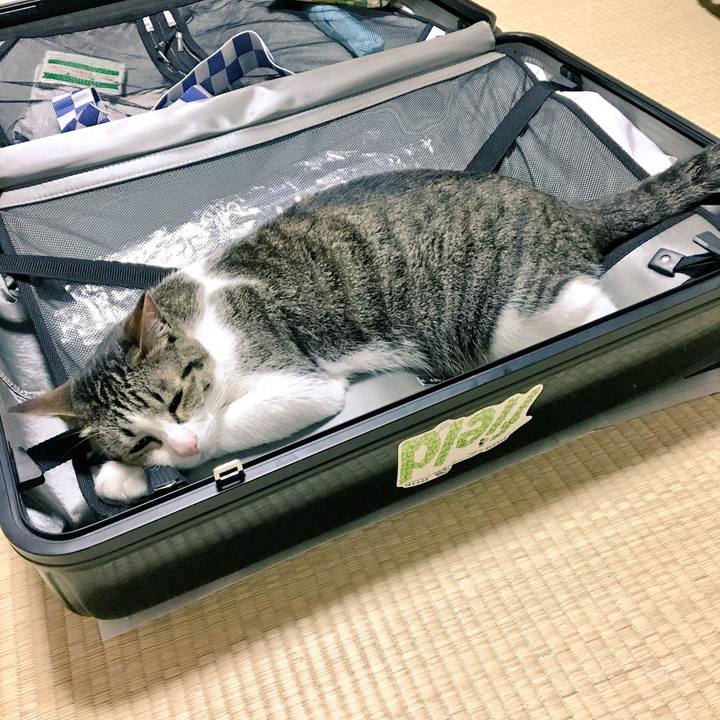 35ac5a23 00ef 4775 a32d 0e7e65a799c6 1531023662437