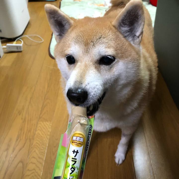 35ac679d 56dc 42f6 a299 0fb2b880c430 1573655857506