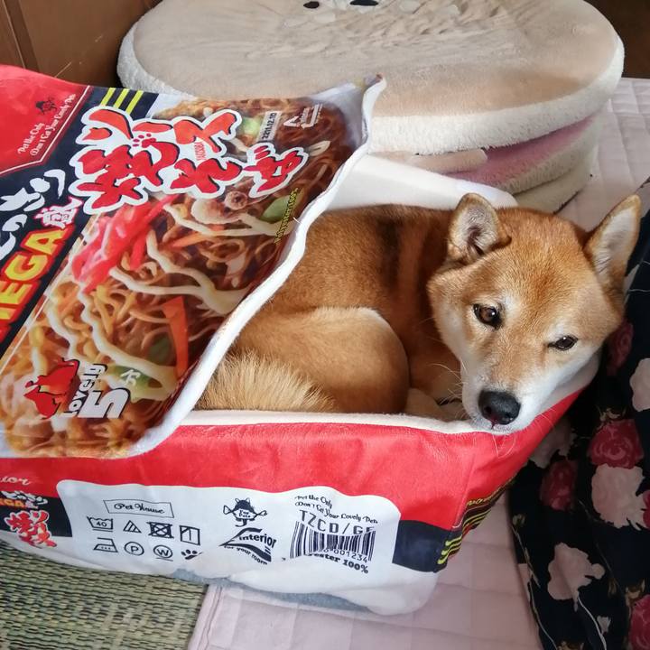 35ac9cb2 6262 4ff1 b868 73d9ba6b642f 1605150498660