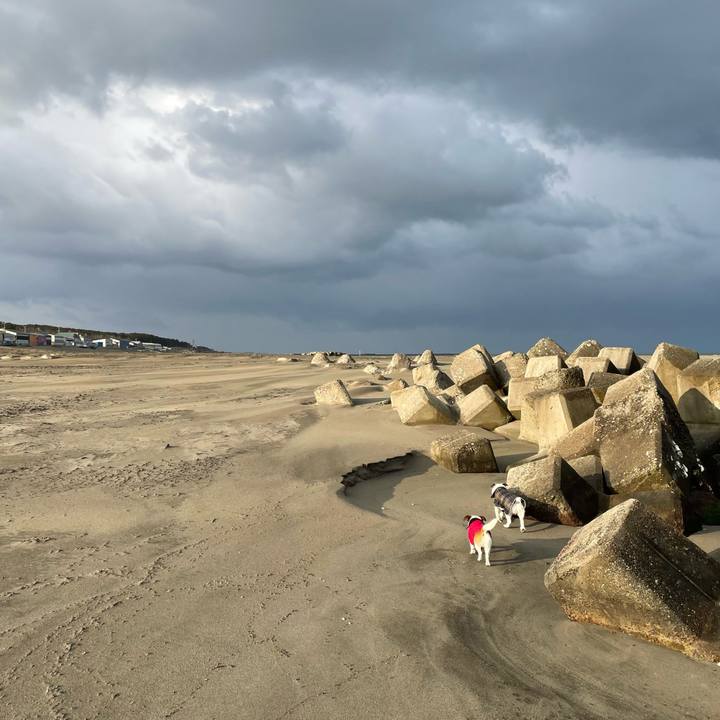 35acb27b c182 49b6 b70e 4e0a0a6af7ec 1646005005287