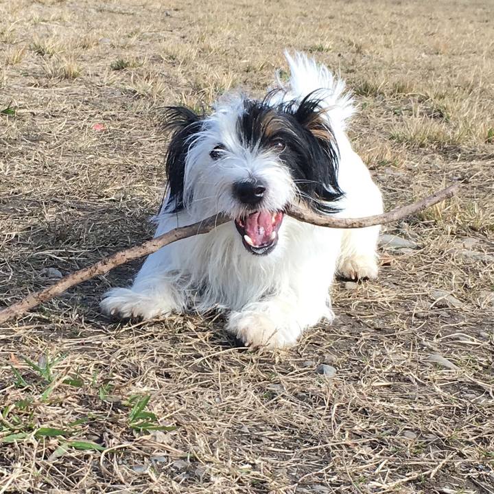 35acbf44 2ddb 4b00 9d89 e5e48863be81 1513721262851