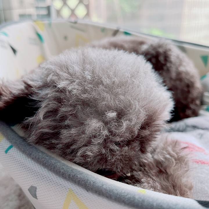 35acc7bd ef06 4bb4 a11a 0de847cb60bb 1694160806579