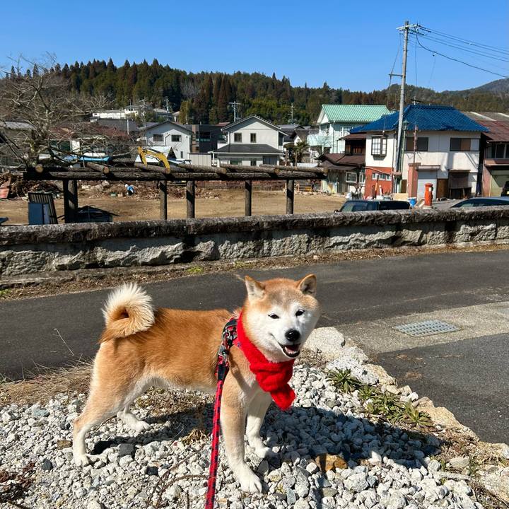 35acca63 c344 4768 b29e 4291759b4a97 1740914447437