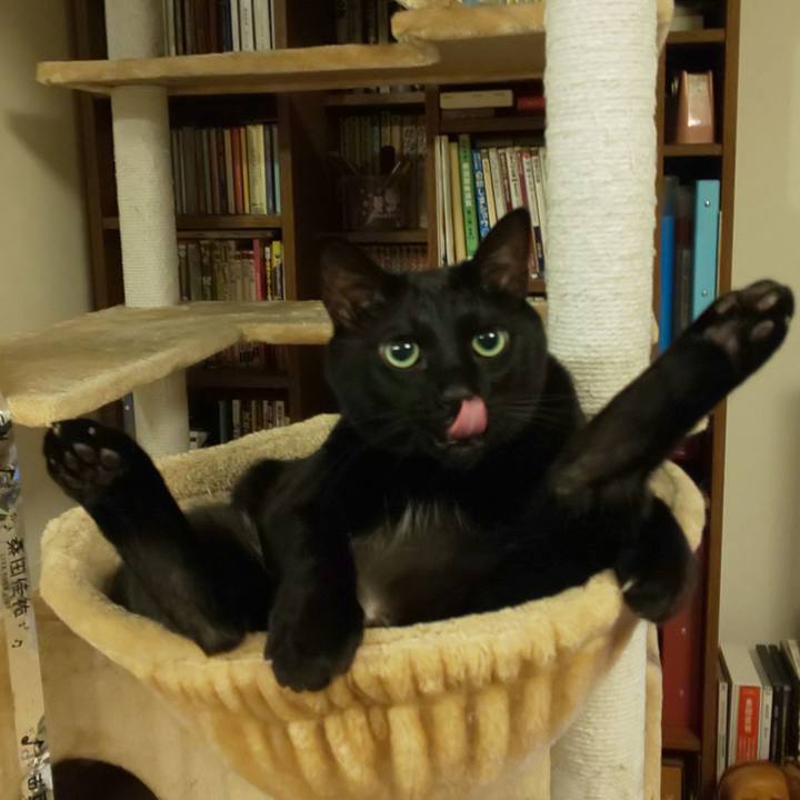 35acdbd3 8580 4b45 b44a f7cdad83aac3 1679930235372