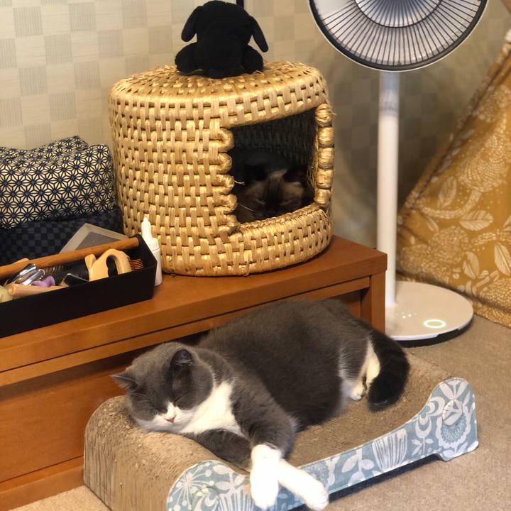 35acea05 9d51 4913 89ba fa26a4ec7754 1630208579705