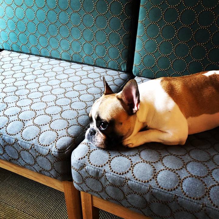 35ad05b6 75c0 4aab 887a 902ad1484d69 1585046620883