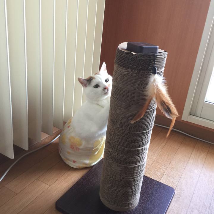 35ad33e2 3973 41ad 9875 70c2a3beccfb 1522326379381