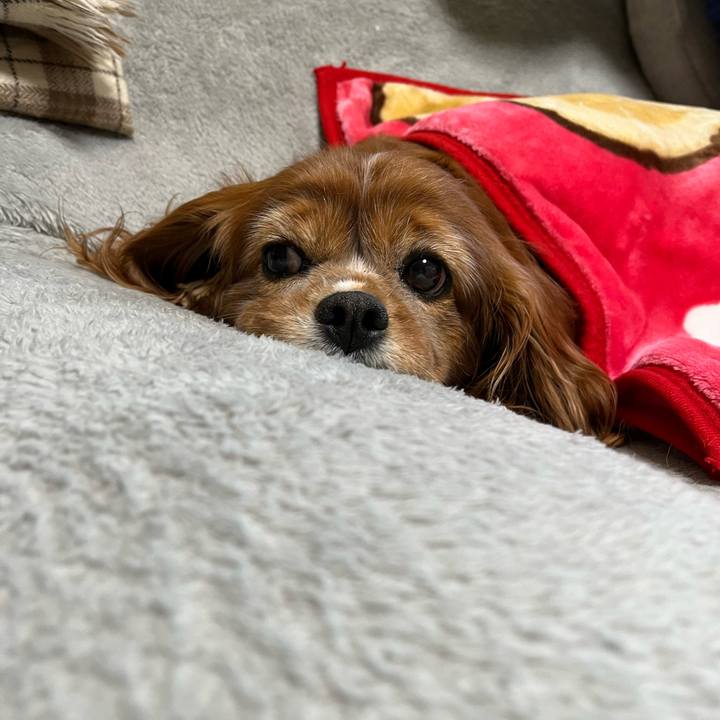 35ad5847 9623 4bce 907d 4476f38e406d 1730931833364