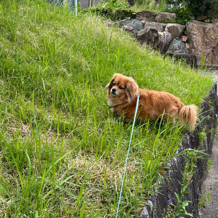 35ad59bd 9b16 46df a57a 5539099e620b 1716412222748