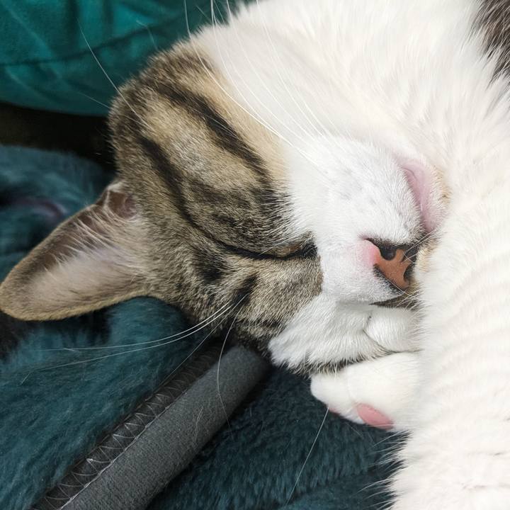 35ad6151 5598 4bdf af45 5d069ae34d80 1709282458470