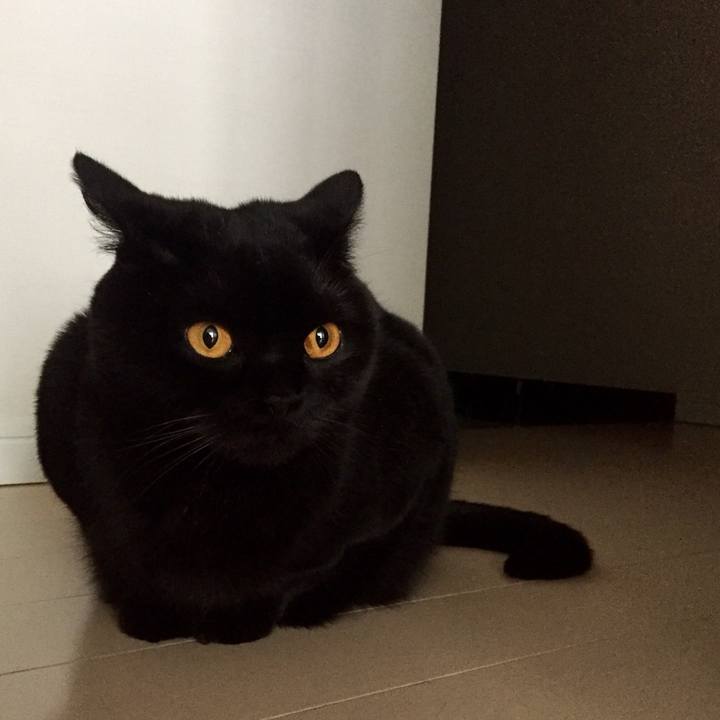 35ad78df 26a5 48d4 b3cf 733f11e8d62c 1558446757589