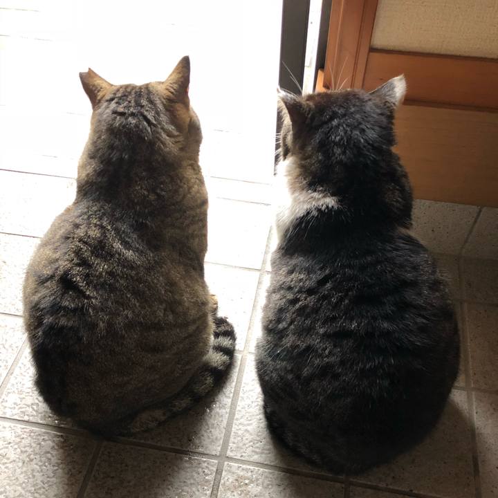 35adc6c0 5572 426f a4f2 b04bd72d6412 1524019460289