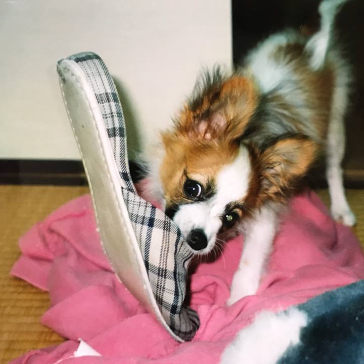 35adfd9b 0451 471e 9472 ae83560588bd 1567167076277