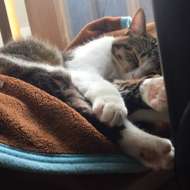 35ae0129 6c46 430d b018 e040ea2cd336 1675212582858